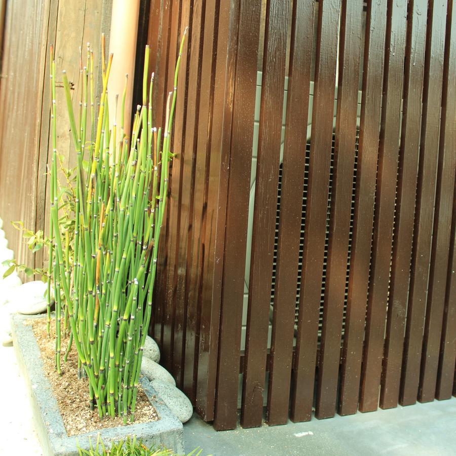 Guest House Koto Fushimi Inari Kyoto Extérieur photo